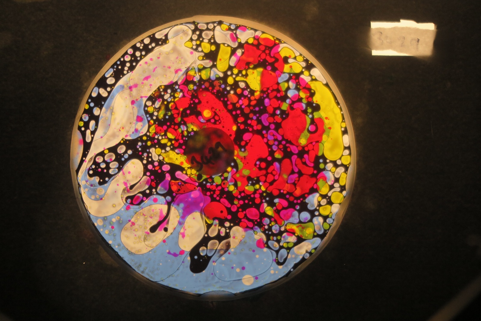 BV3429 bubble vision oil wheel